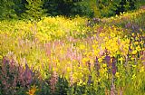 Shirley Novak Canvas Paintings - Yellowstone Meadow